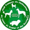  - Chihuahua  et CLUB de France